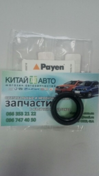 Сальник ведущей шестерни маслянного насоса (Payen Бельгия) Chery Tiggo T11 (2.0, до 2010г.), Chery Tiggo T11 (2.4, до 2010г.,MT), Great Wall Haval H3 (2.0), Great Wall Hover H2 (2.4), ZX Land Mark