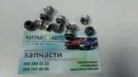 Сальник клапана (оригинал) (комплект/16шт.) Chery A13, Forza (HB), Chery A13, Forza (Sedan), Chery Amulet FL (1.5,с 2012г.), Chery Beat S18 (1.3), Chery E5 (1.5, A21FL), Chery Eastar B11 (2.0,  ACTECO), Chery Elara A21 (2.0), Chery Elara A21 (до 2011г, 1.